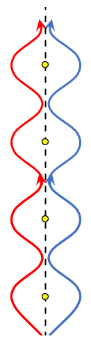 前溜基本動作與練習技巧|直排輪基礎教學 9 葫蘆軌跡